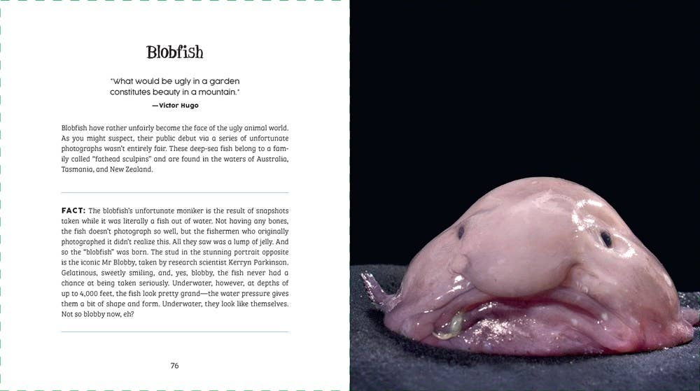 Ugly-Cute What Misunderstood Animals Can Teach Us About Life Book