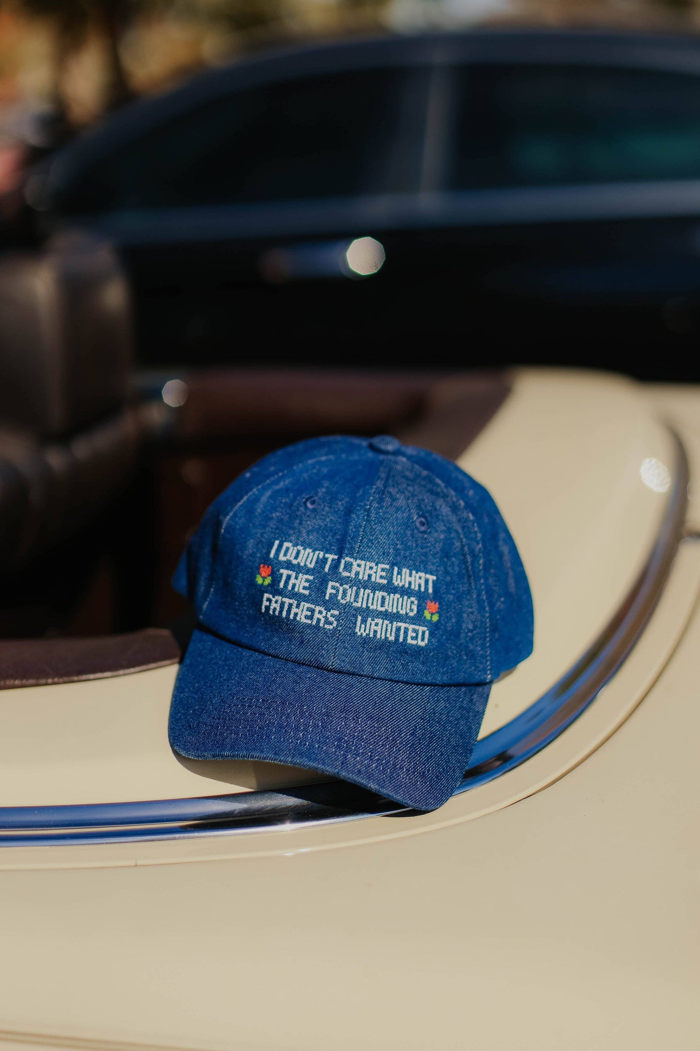 I Don't Care What The Founding Fathers Wanted Baseball Hat