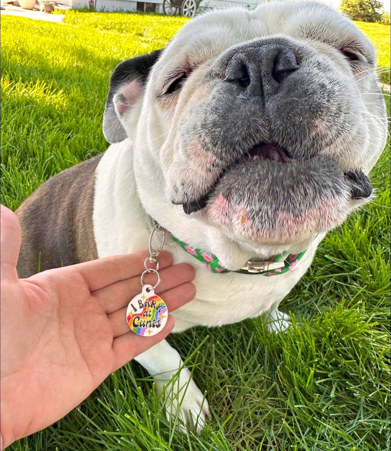 I Bark at Cunts Pet Tag
