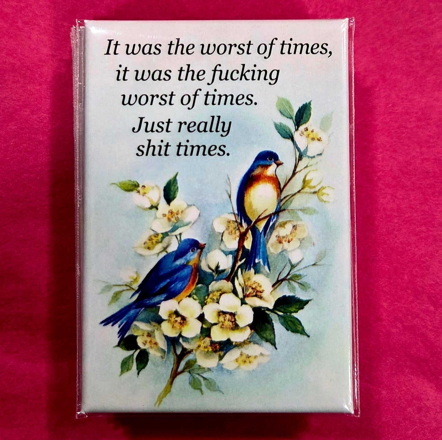 It Was The Worst Of Times, It Was The Fucking Worst Of Times. Just Really Shit Times Magnet