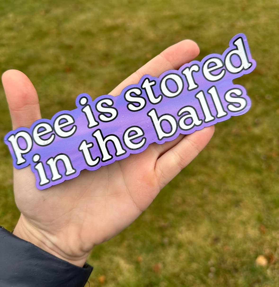 Pee Is Stored In The Balls Car Bumper Magnet