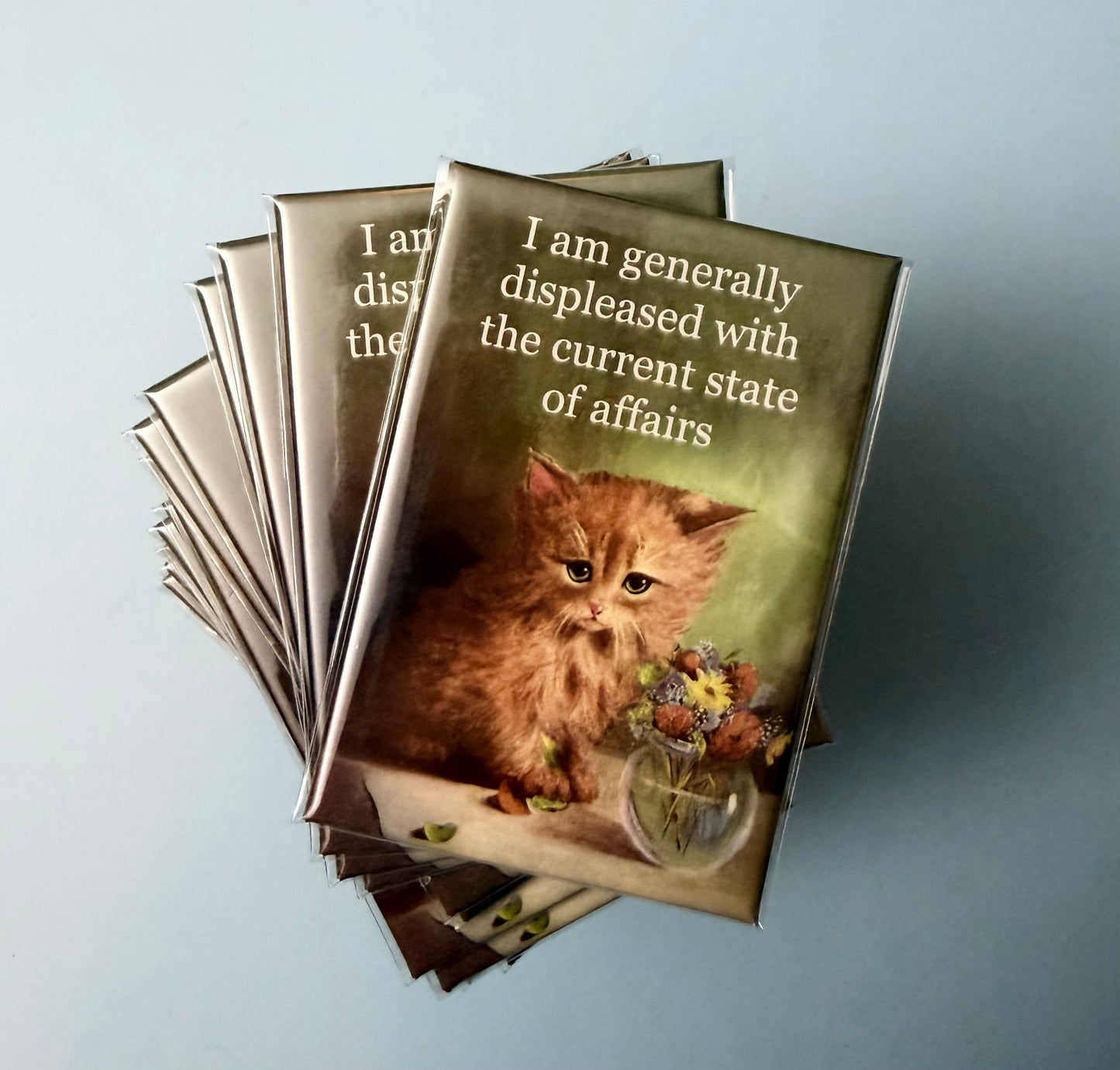 I Am Generally Displeased With The Current State Of Affairs Magnet