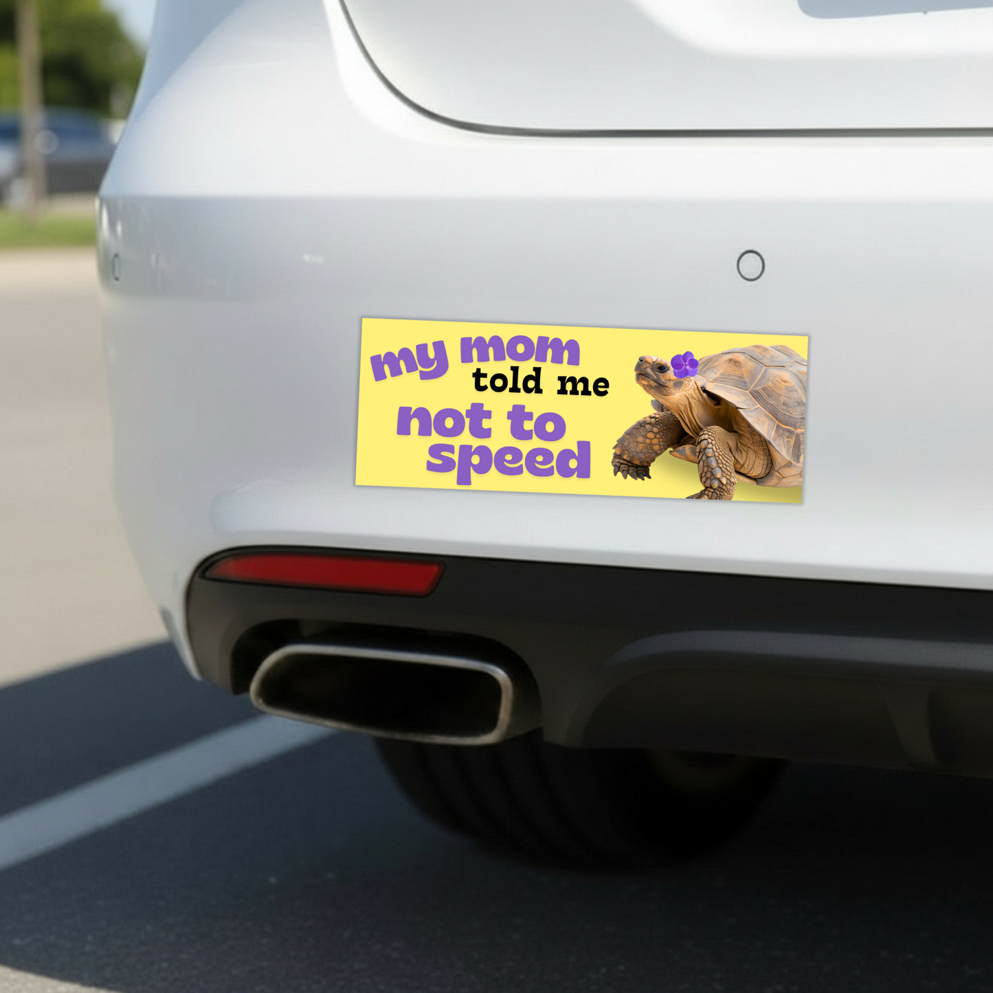 My Mom Told Me Not To Speed Bumper Magnet