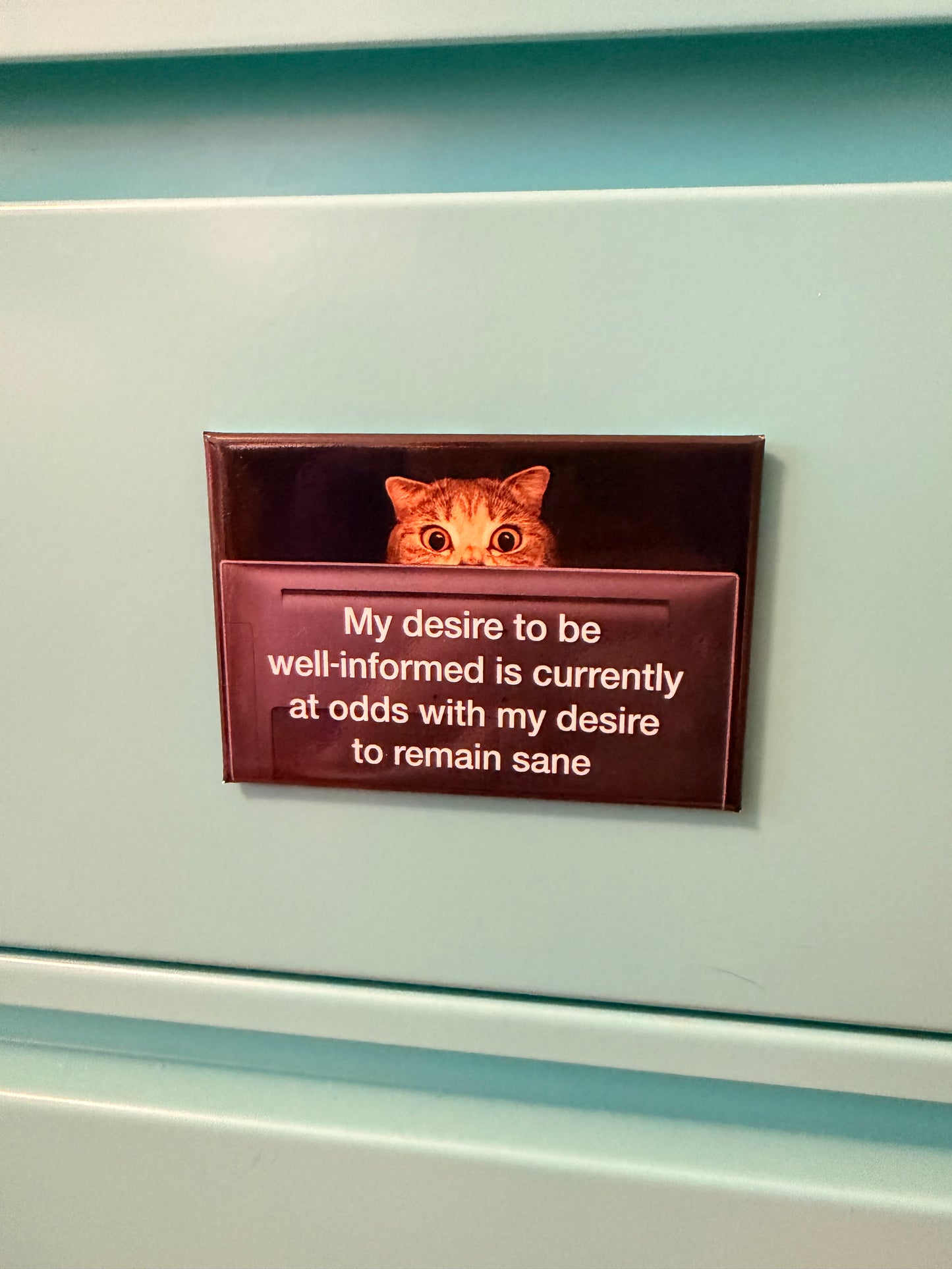 My Desire To Be Well-Informed Is Currently At Odds With My Desire To Remain Sane Magnet