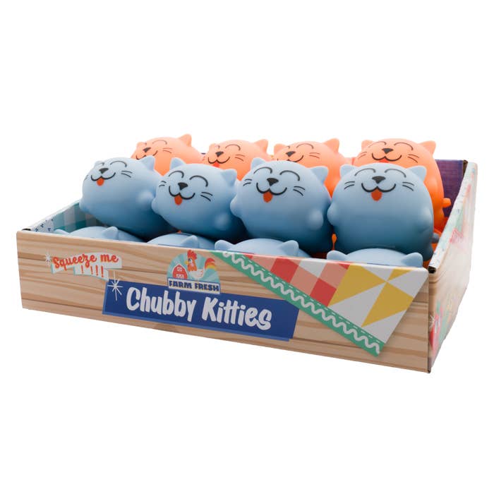 Chubby Kitties Assorted Squishy Toy