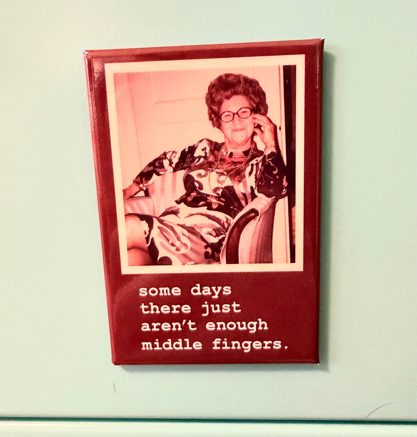 Some Days There Just Aren't Enough Middle Fingers Magnet