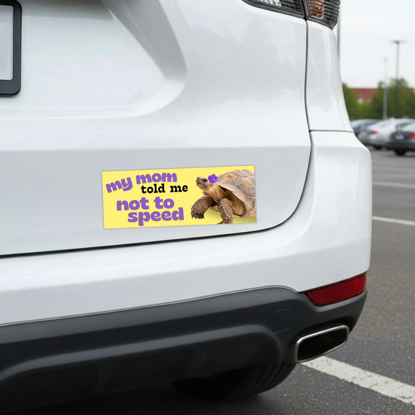 My Mom Told Me Not To Speed Bumper Magnet