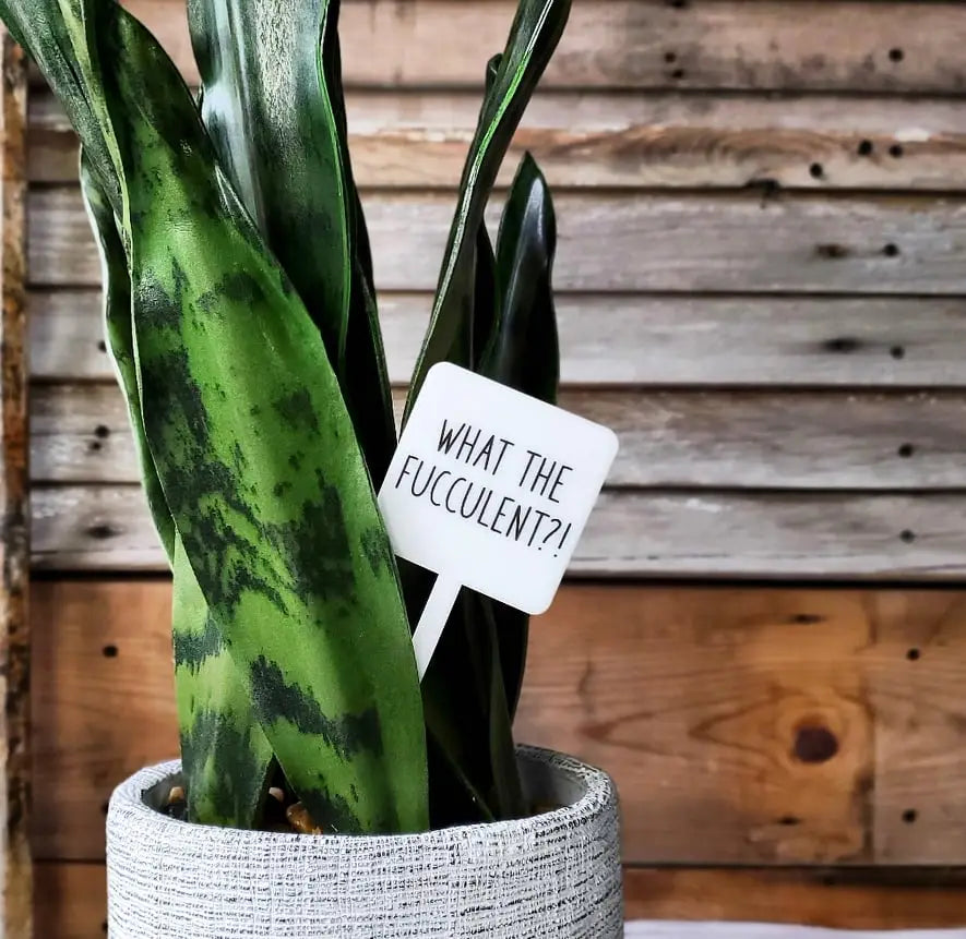 What The Fucculent Acrylic Plant Stake