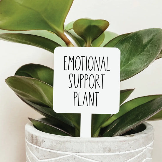 Emotional Support Plant Acrylic Plant Stake