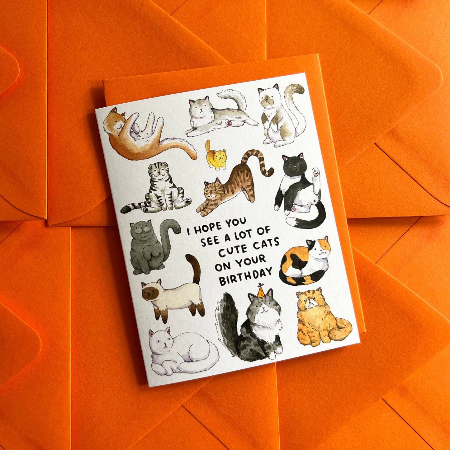 I Hope You See A Lot Of Cute Cats Birthday Card