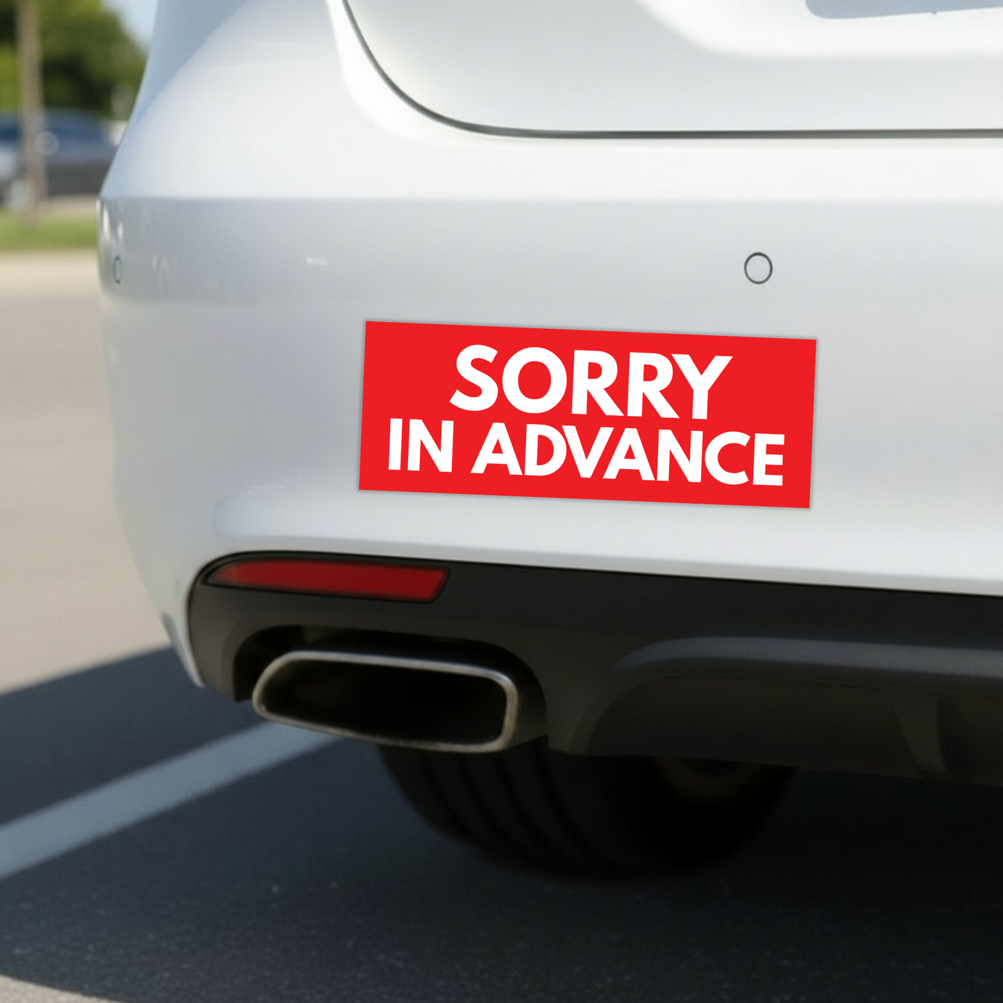 Sorry In Advance Bumper Magnet