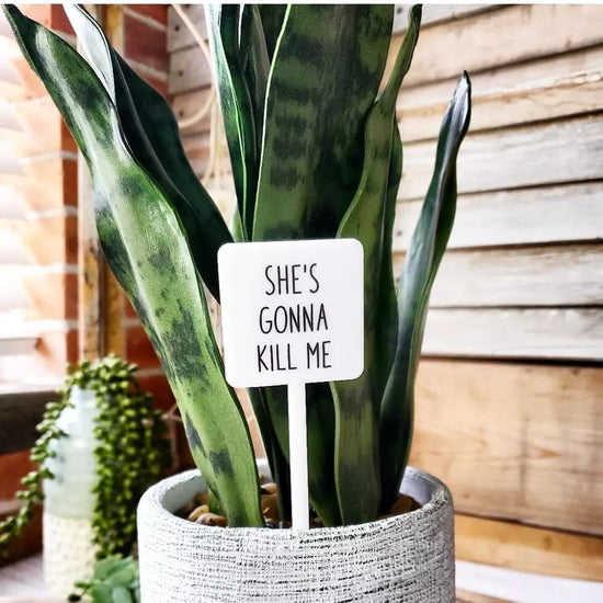 She's Gonna Kill Me Acrylic Plant Stake