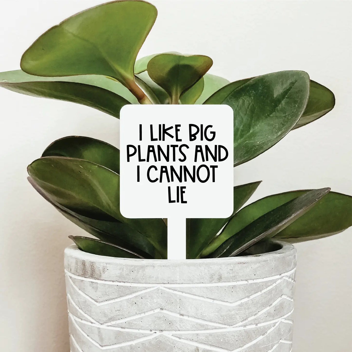 I Like Big Plants And I Cannot Lie Acrylic Plant Stake