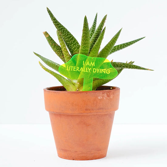 Load image into Gallery viewer, I Am Literally Dying Acrylic Plant Stake
