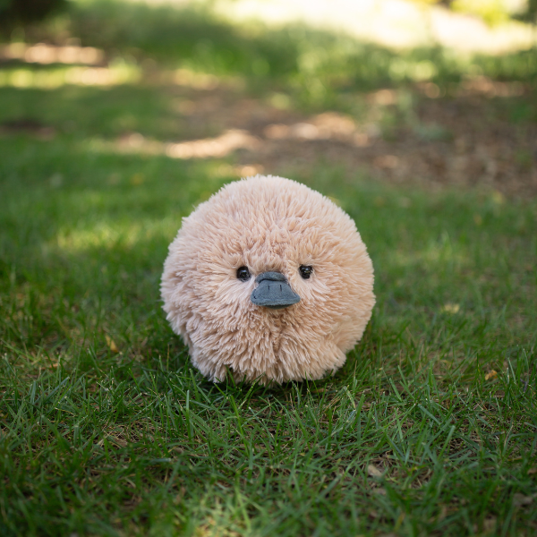 Fluffees Platypus Plushie