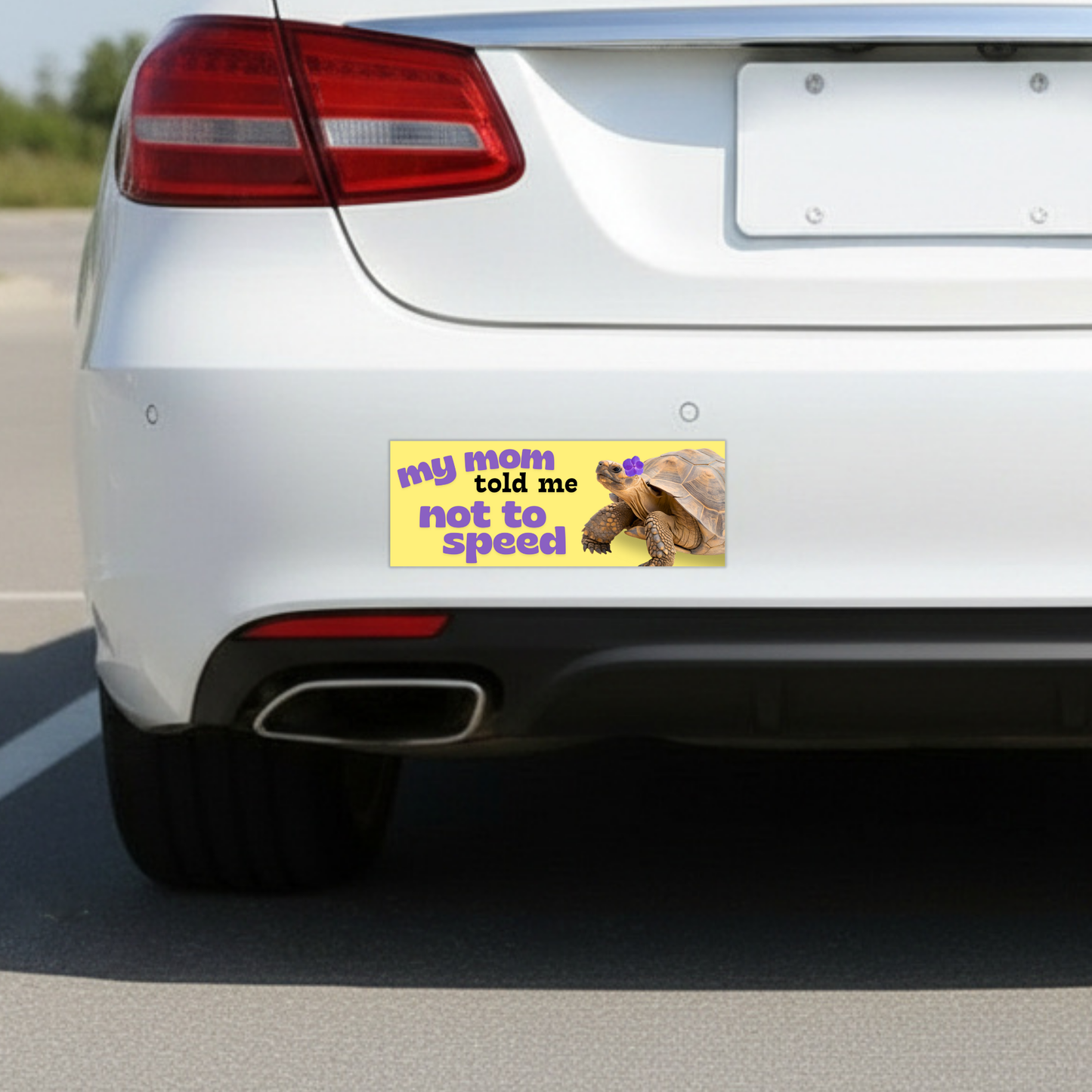 My Mom Told Me Not To Speed Bumper Magnet
