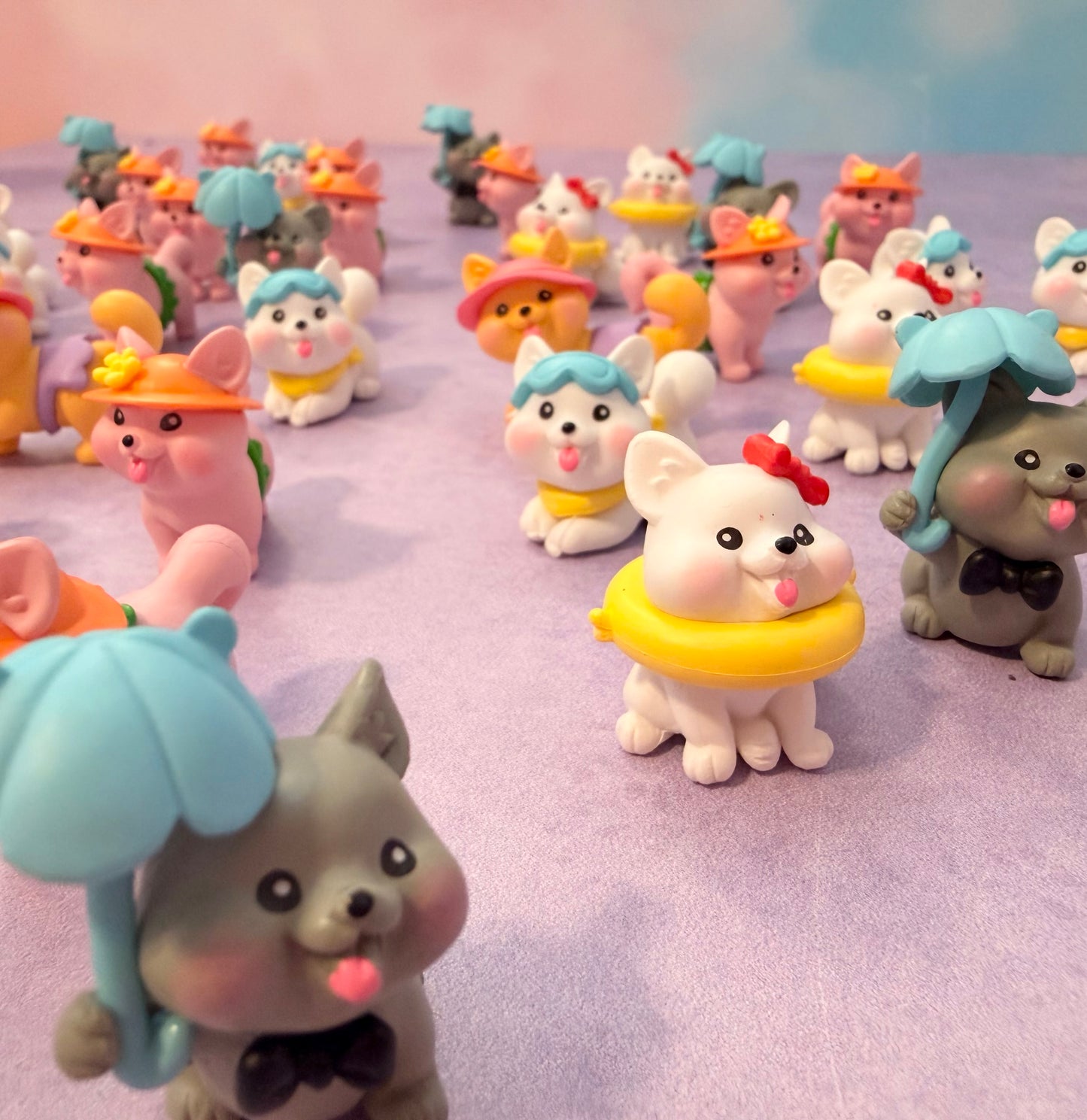 Mini Hawaiian Dogs Surprise Pull