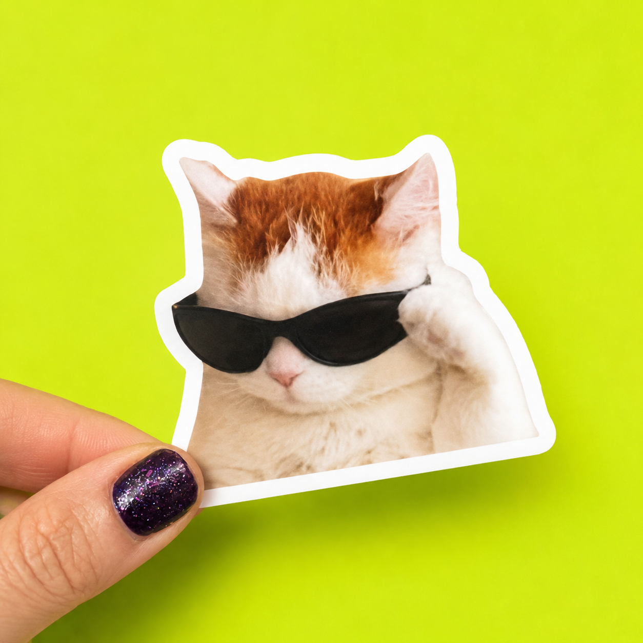 Sunglass Cat Sticker