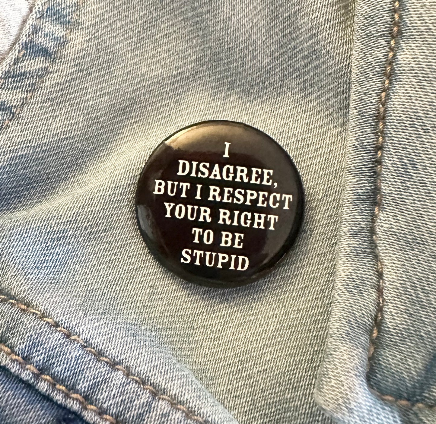 I Disagree But I Respect Your Right To Be Stupid Button