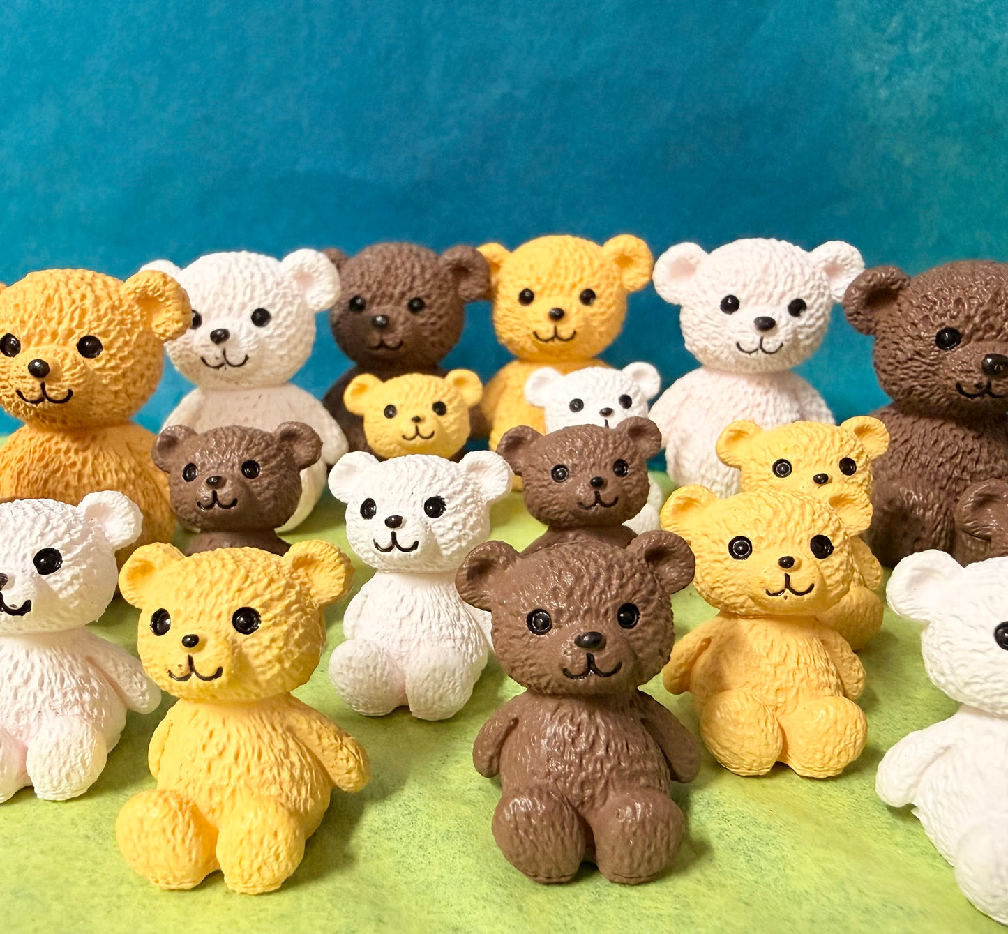 Tiny Bear Surprise Pull
