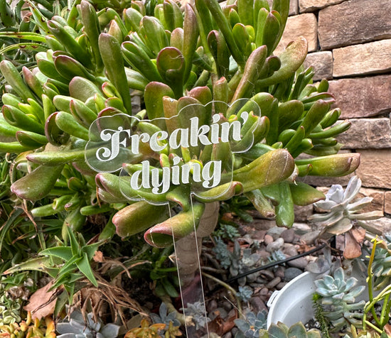 Freakin' Dying Acrylic Plant Stake