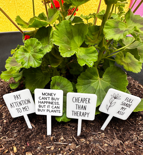 Money Can't Buy Happiness Acrylic Plant Stake