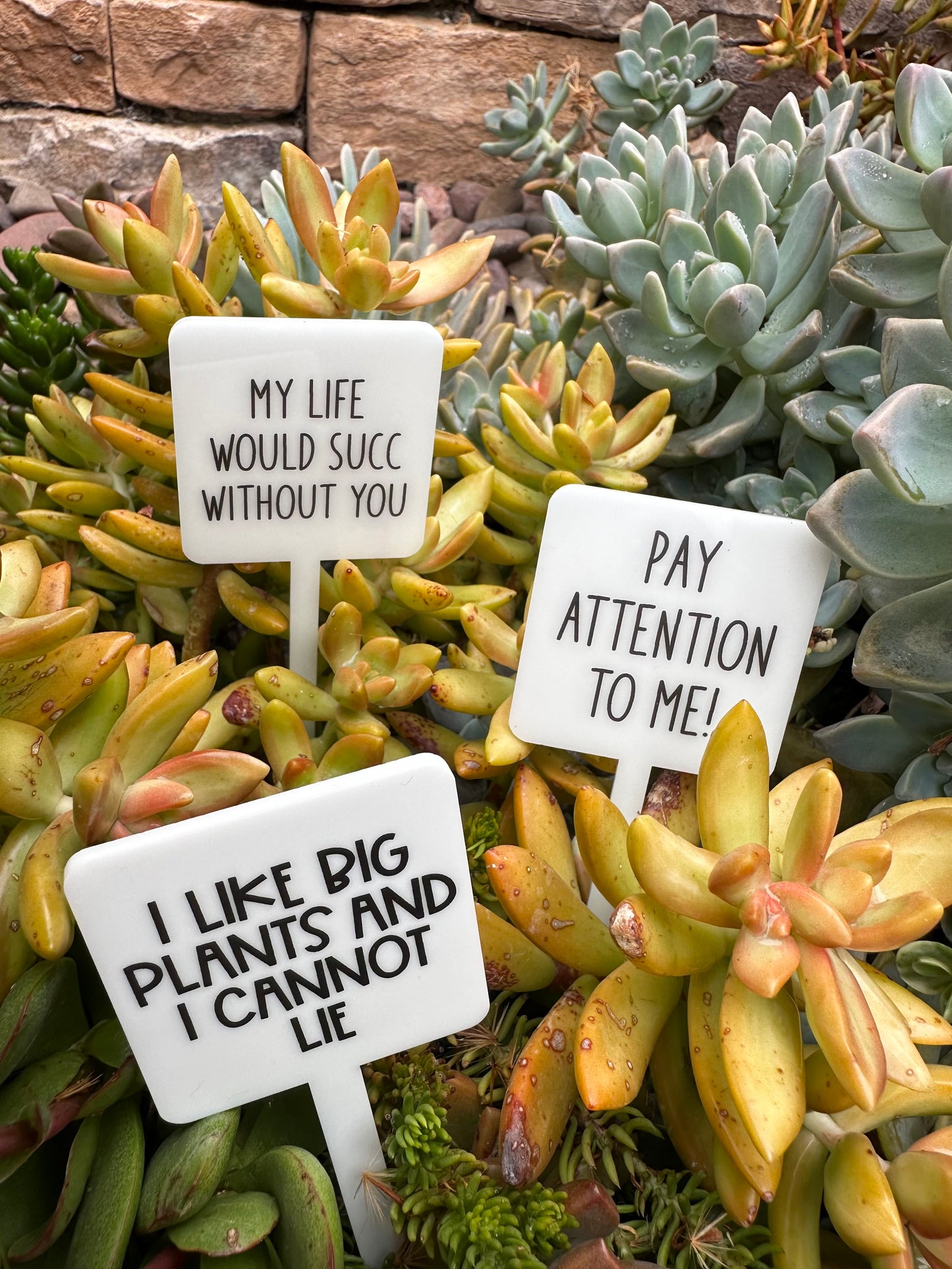 My Life Would Succ Without You Acrylic Plant Stake