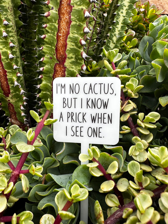 I'm No Cactus Acrylic Plant Stake
