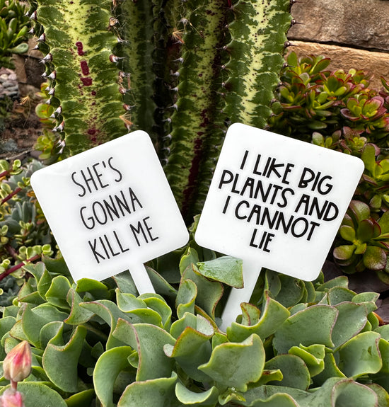 She's Gonna Kill Me Acrylic Plant Stake