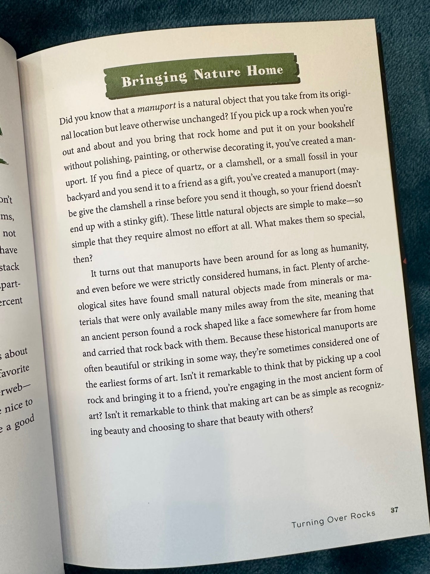 Goblin Mode How to Get Cozy, Embrace Imperfection, and Thrive in the Muck Book - 208 pages
