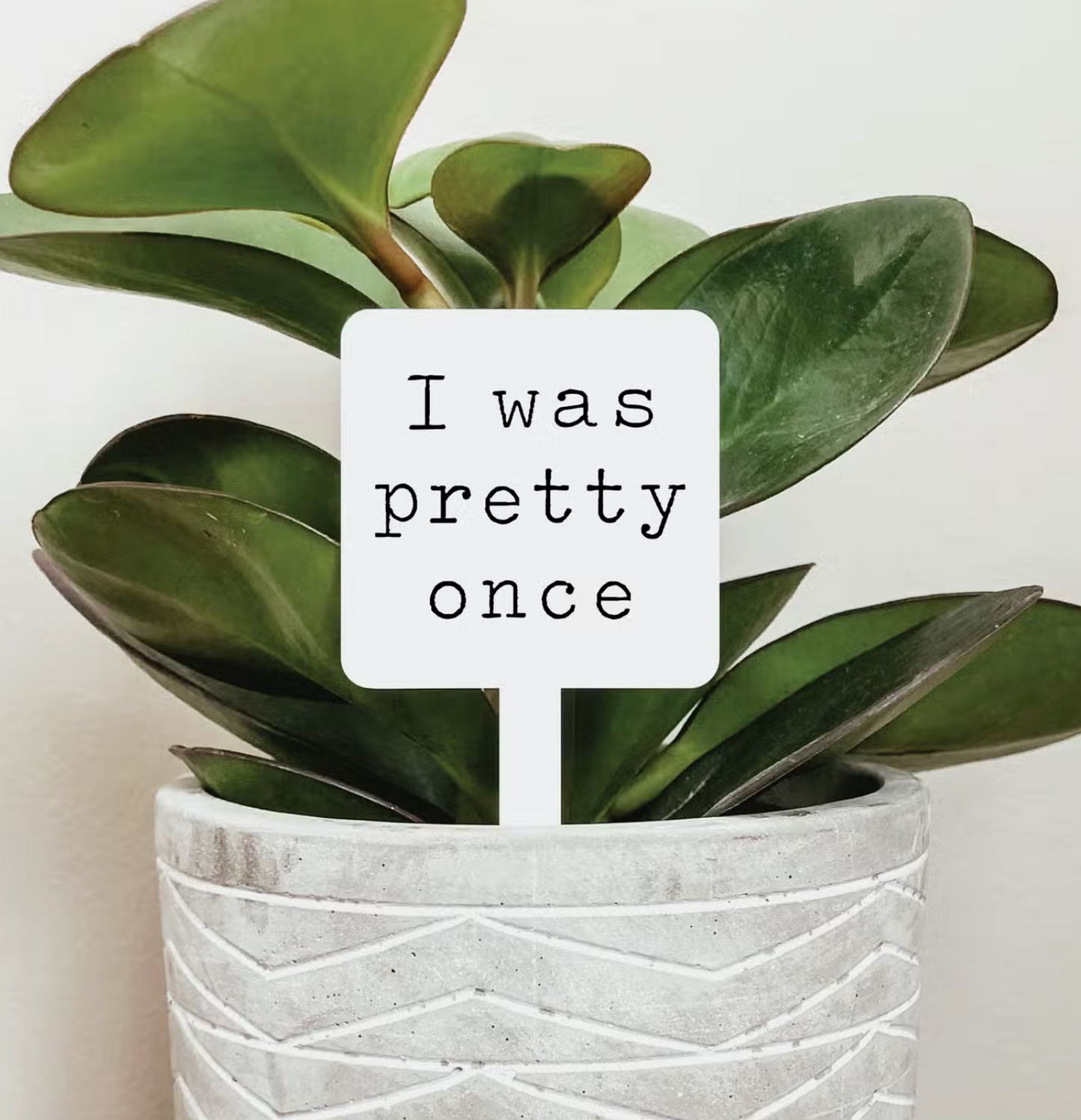 I Was Pretty Once Acrylic Plant Stake