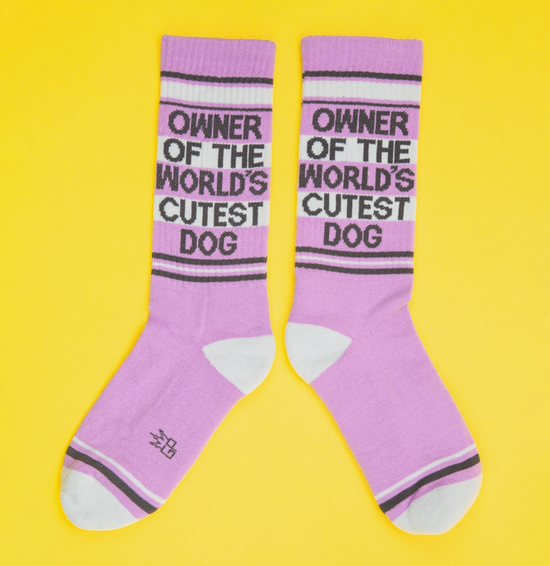 Owner of the World's Cutest Dog Socks