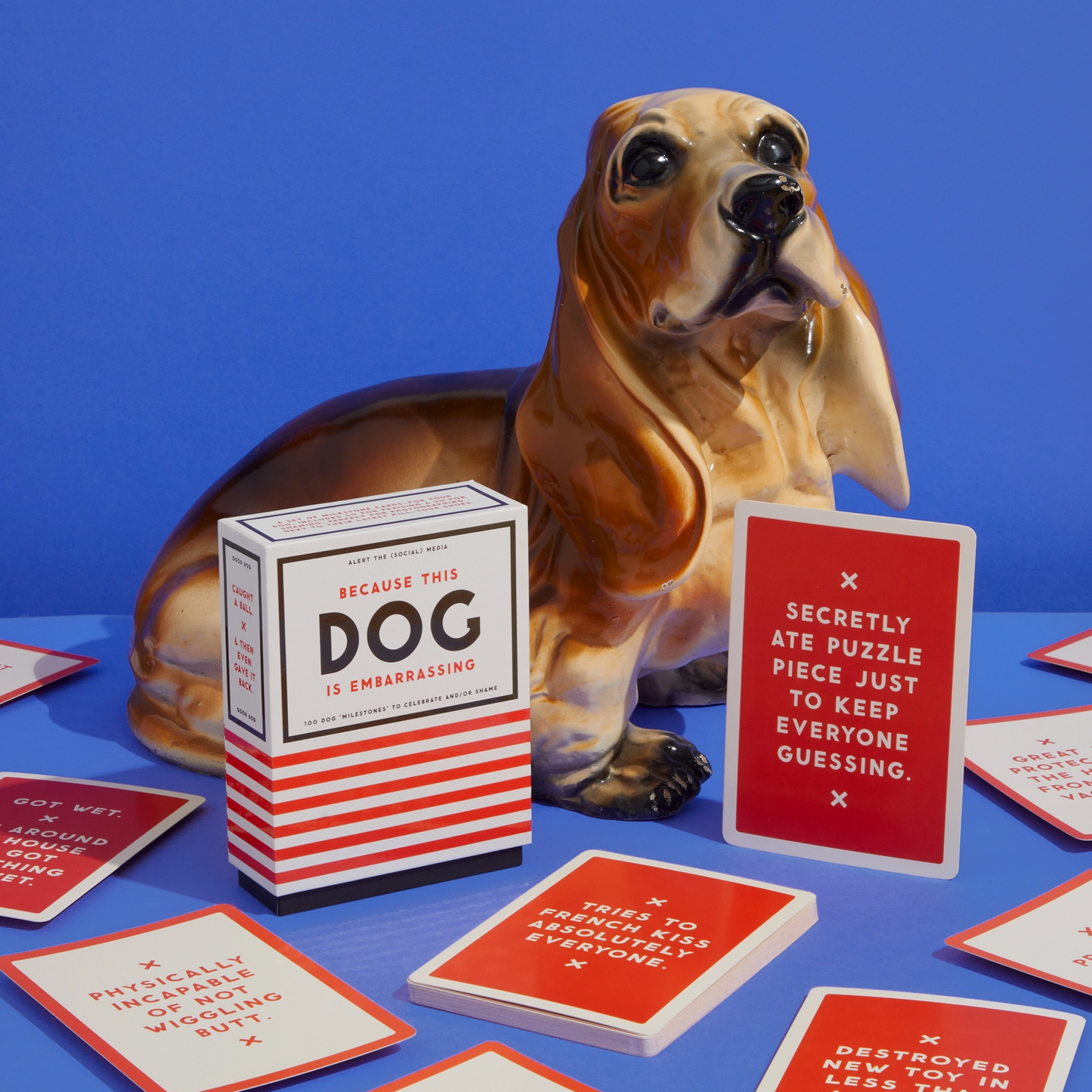 Because This Dog Is Embarrassing - Pet Shame/Praise Deck To Alert Social Media - 50 double-sided cards