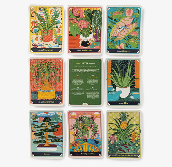 The Happy Houseplant Deck: 50 Cards for Intuitive Plant Care