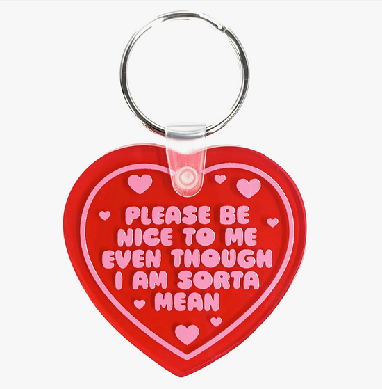 Load image into Gallery viewer, Please Be Nice To Me Even Though I Am Sorta Mean Vinyl Keychain
