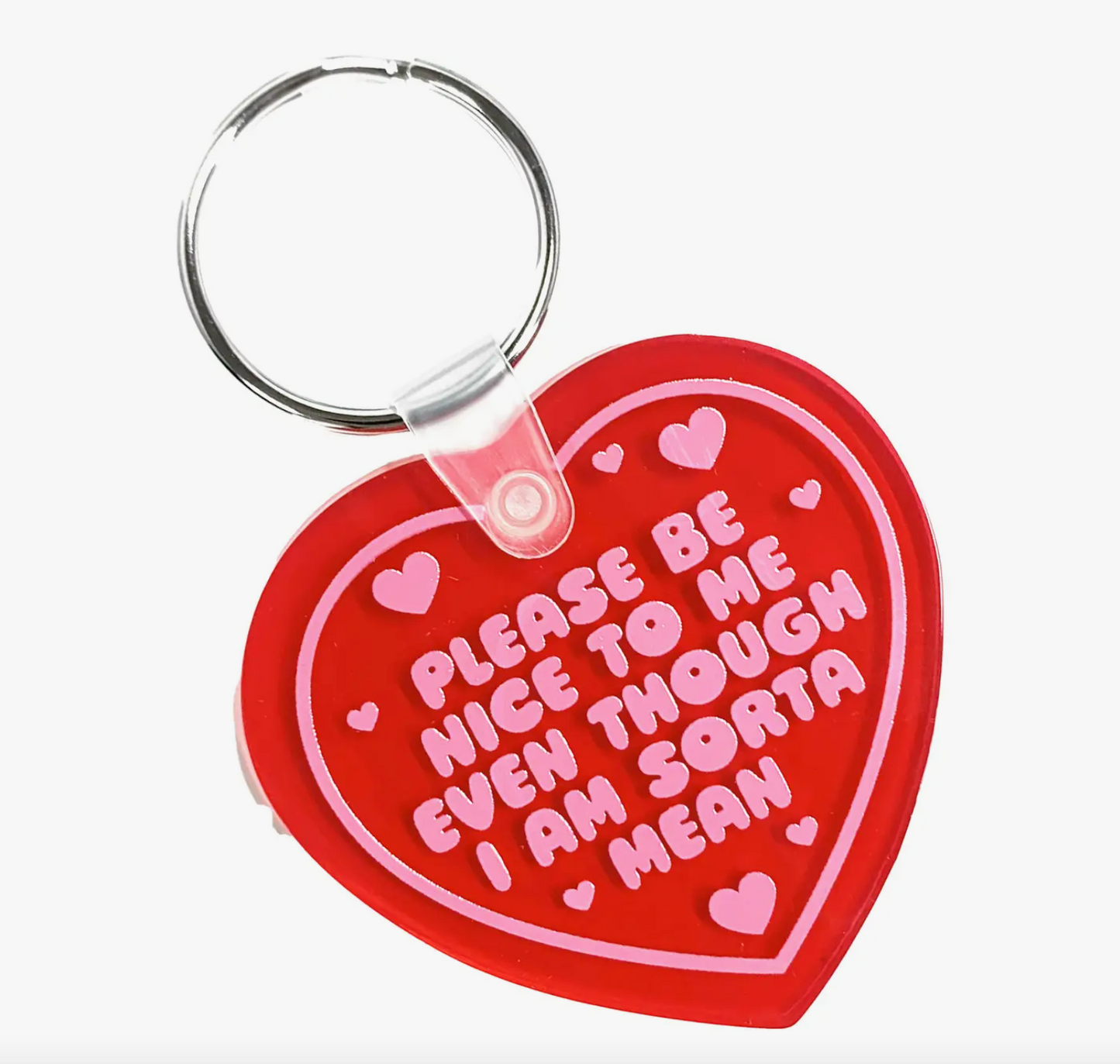 Please Be Nice To Me Even Though I Am Sorta Mean Vinyl Keychain