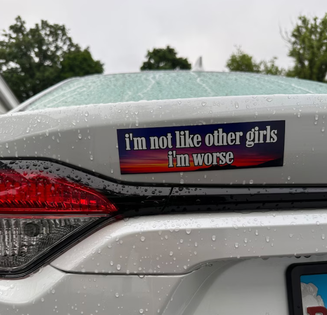 I'm Not Like Other Girls I'm Worse Car Magnet