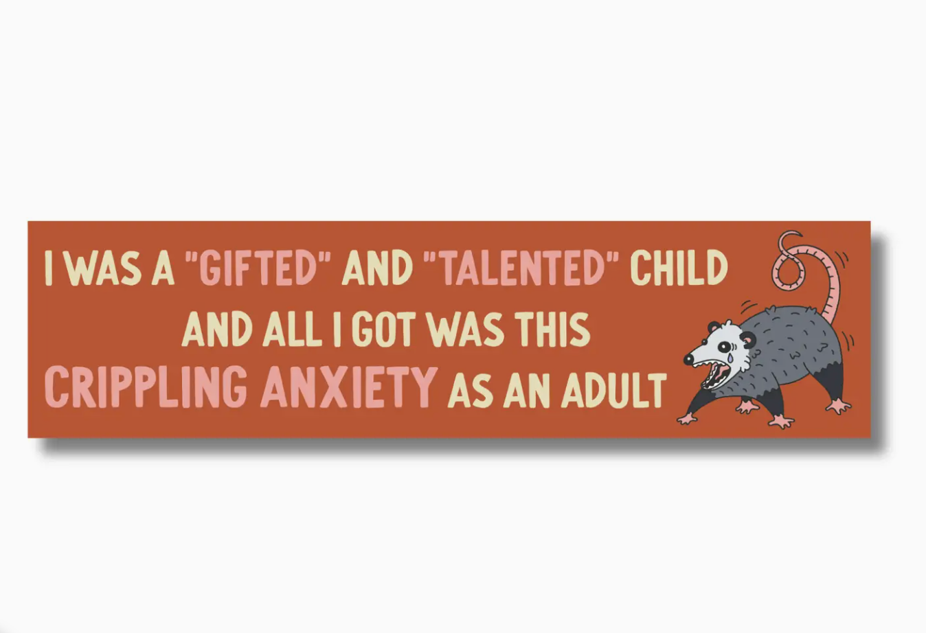 I Was A Gifted And Talented Child And All I Got Bumper Sticker