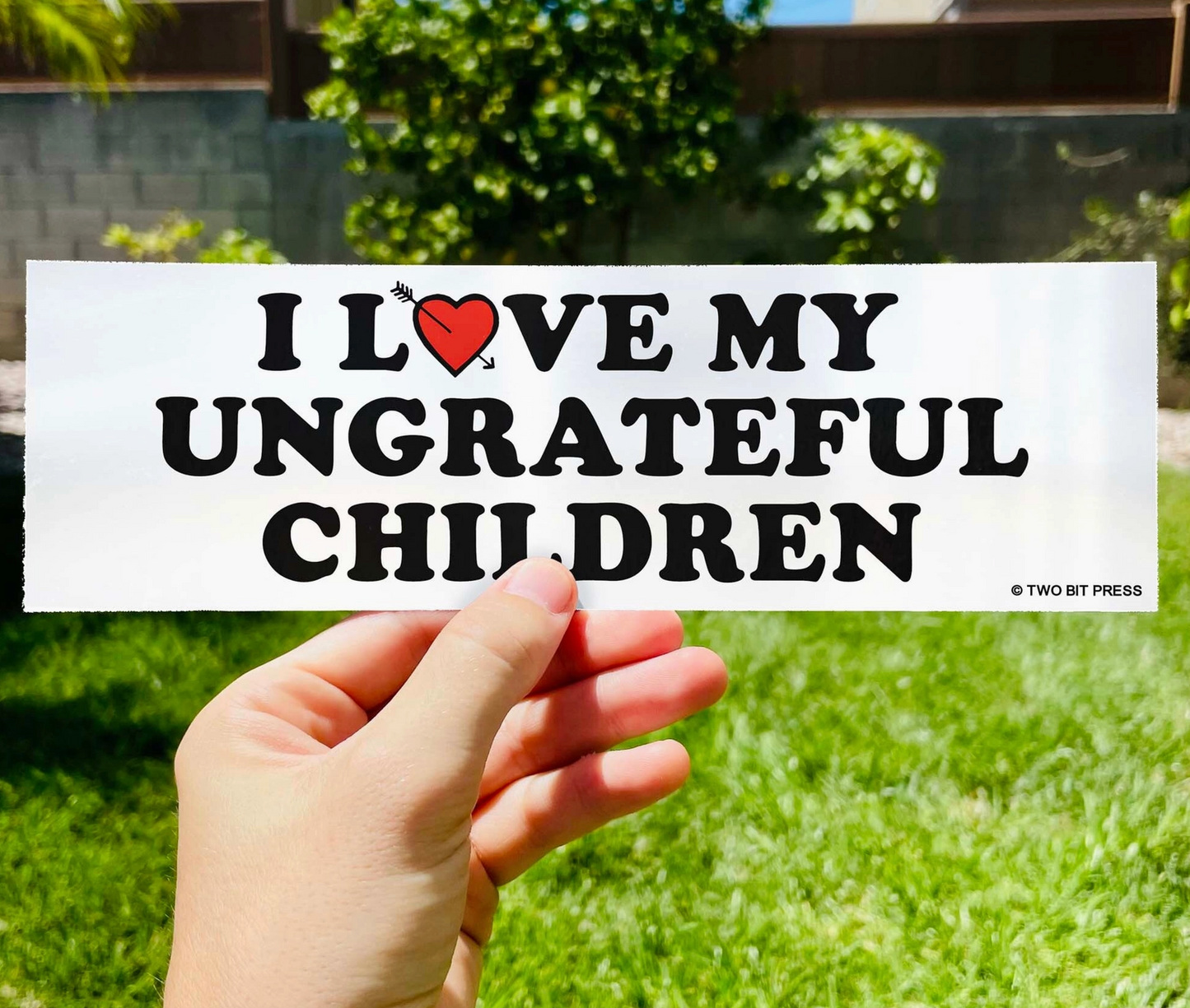 I Love My Ungrateful Children Bumper Sticker