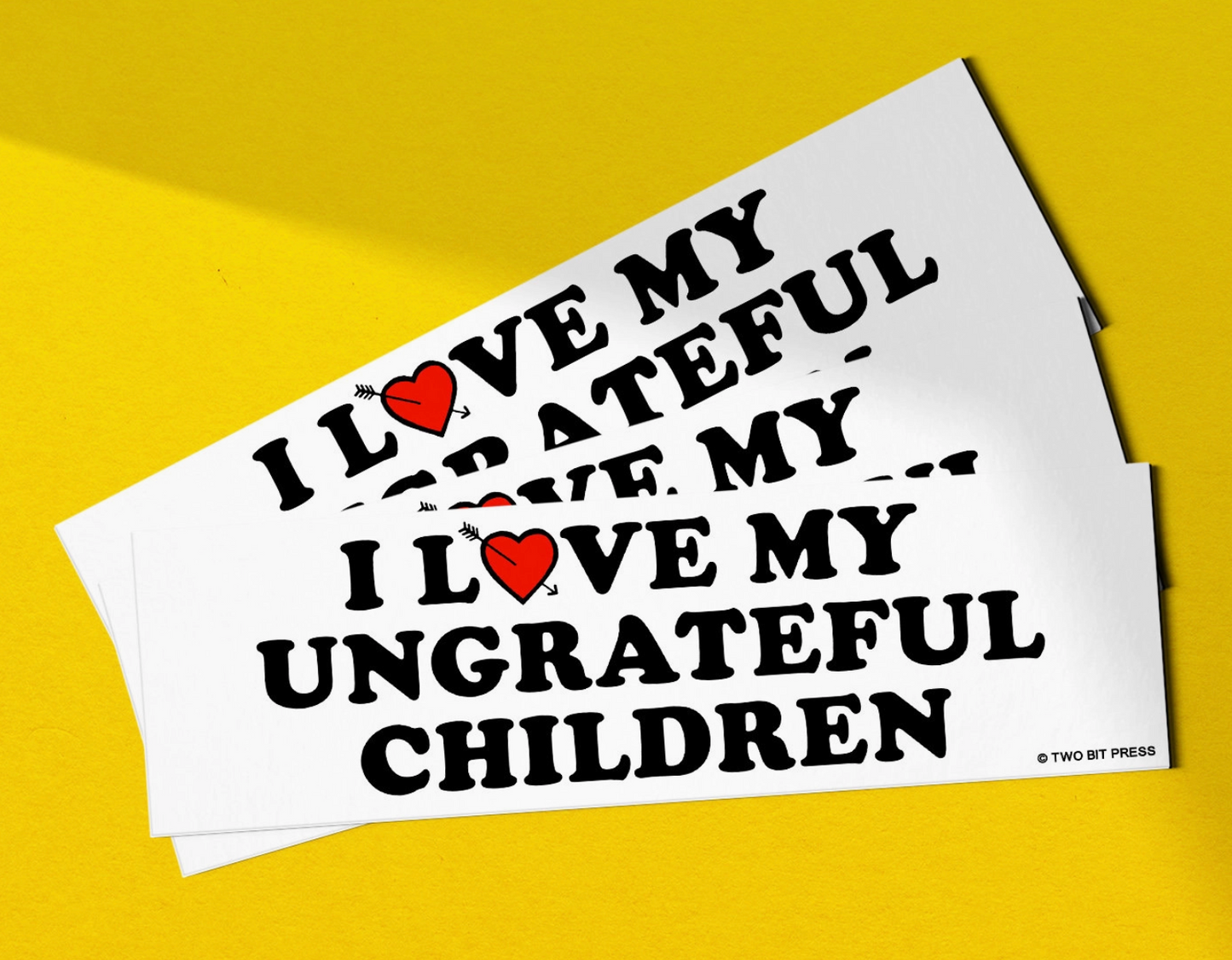 I Love My Ungrateful Children Bumper Sticker