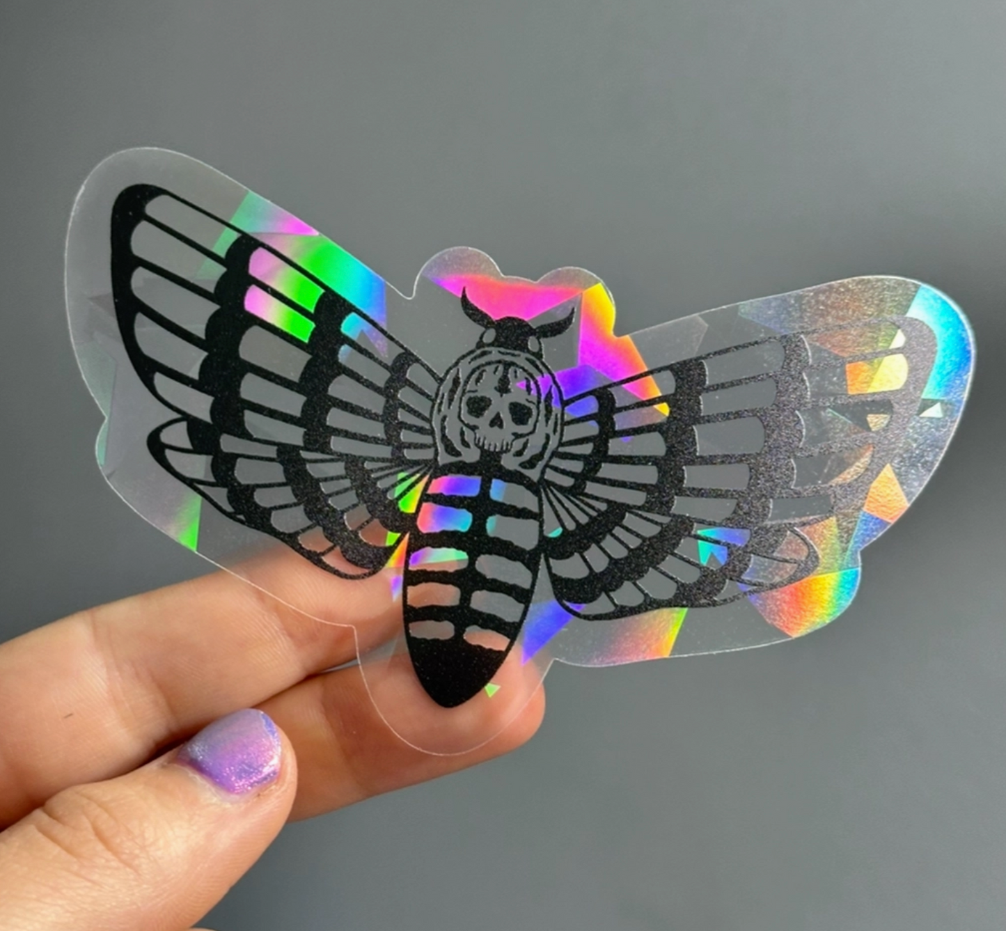 Death's Head Hawkmoth Suncatcher Decal