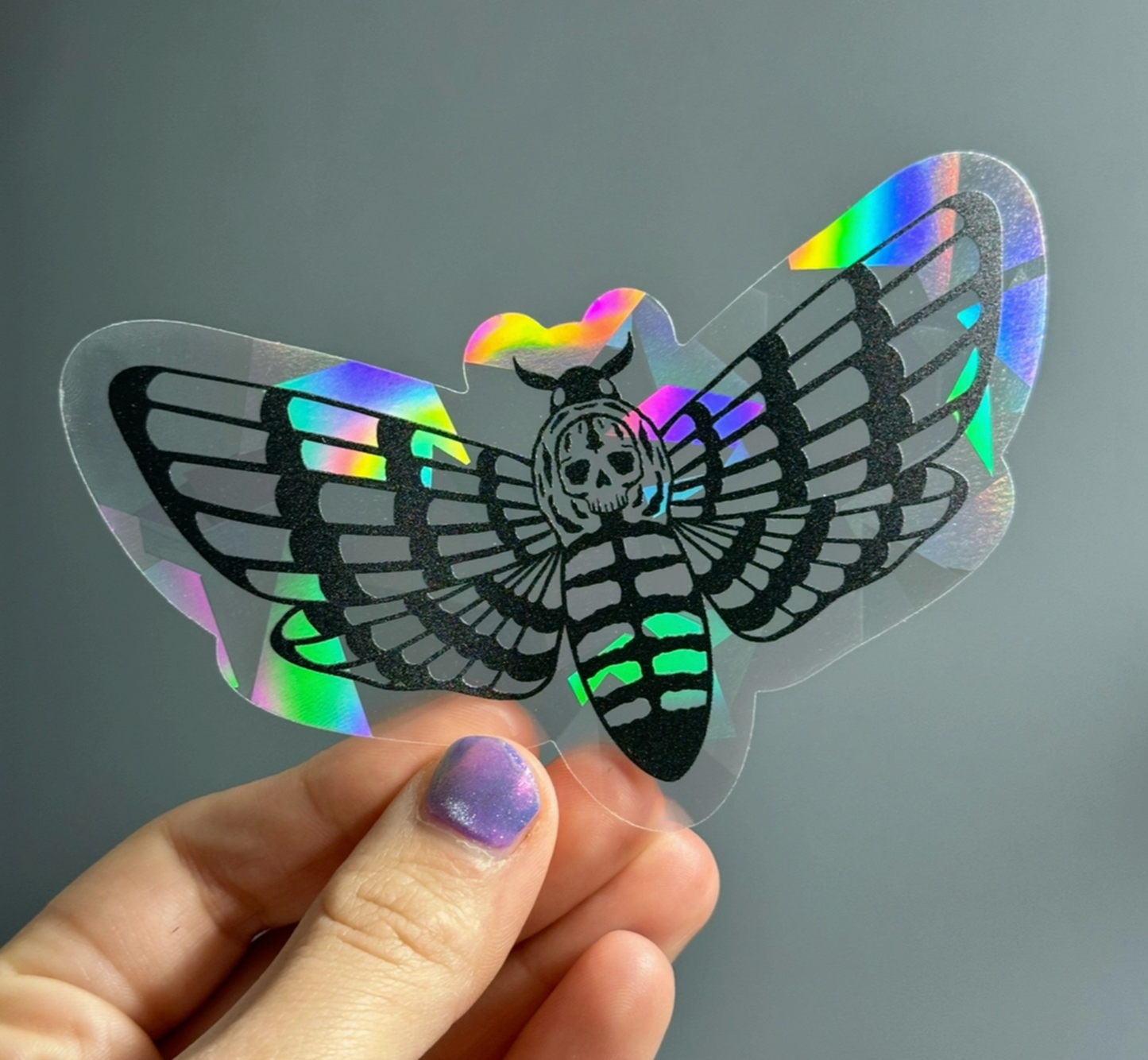 Death's Head Hawkmoth Suncatcher Decal