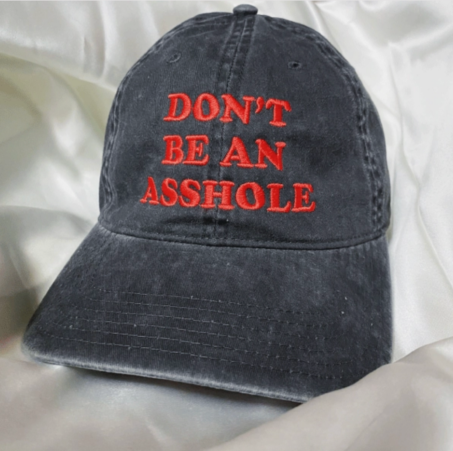 Don't Be An Asshole Embroidered Hat