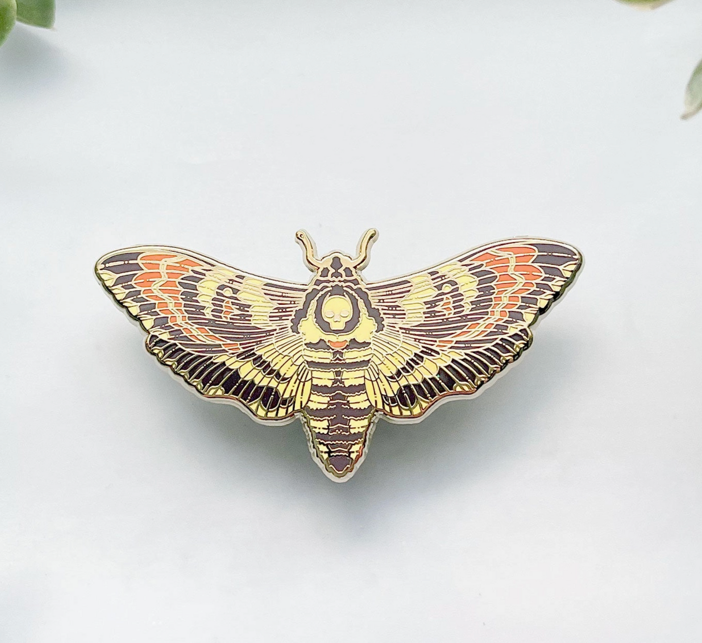 Death's Head Hawkmoth (Acherontia Lachesis) Pin