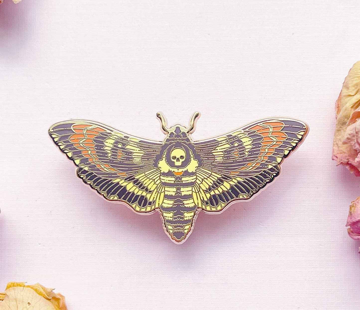 Death's Head Hawkmoth (Acherontia Lachesis) Pin