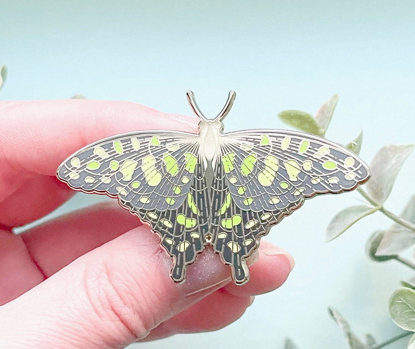 Spotted Jay Butterfly (Graphium Agamemnon) Pin