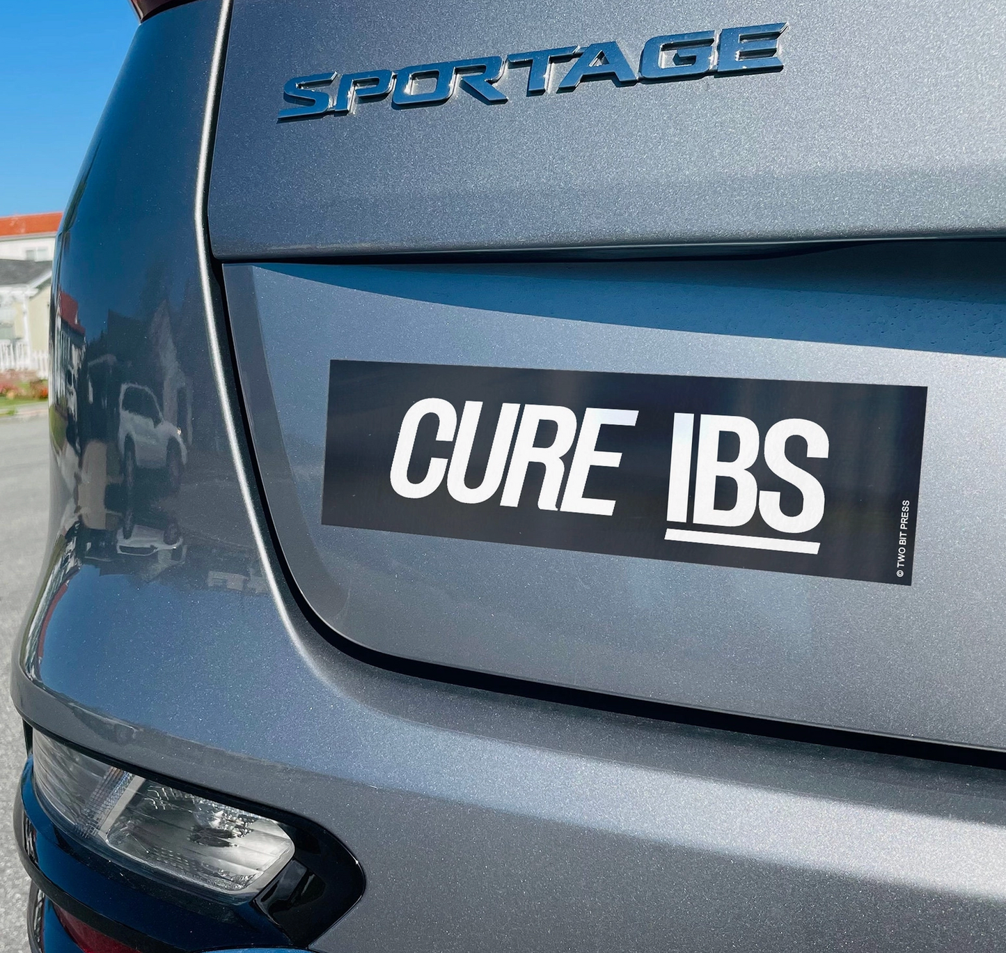 CURE IBS Bumper Sticker