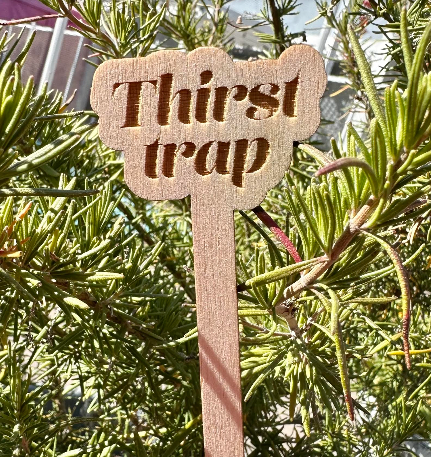 Thirst Trap Wooden Plant Stake