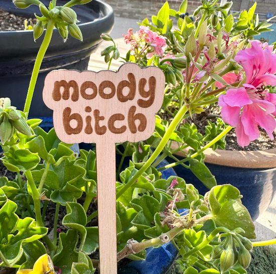 Moody Bitch Wooden Plant Stake