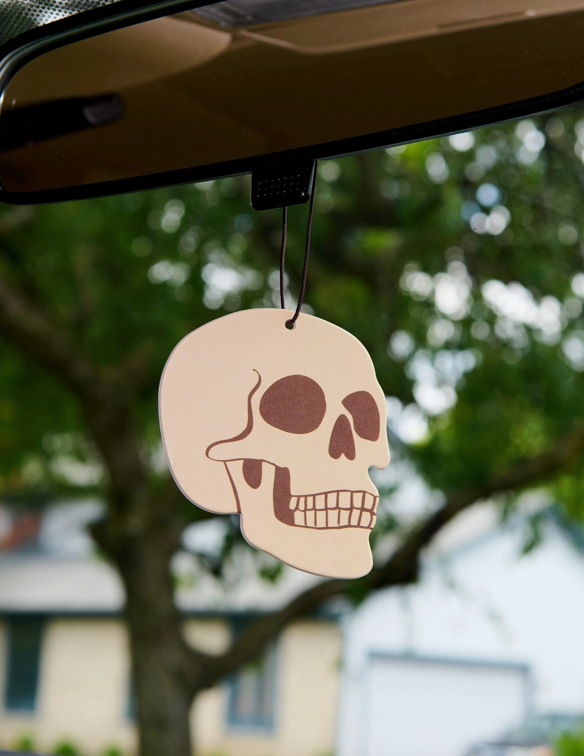 Skull Air Freshener